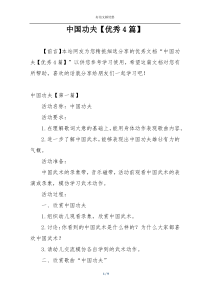 中国功夫【优秀4篇】