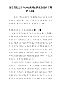 青春跟党走助力乡村振兴实践报告范例【最新5篇】