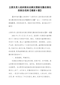 主要负责人组织落实巡察反馈意见整改情况的报告范例【最新8篇】