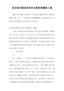 党支部共建活动具体方案范例最新5篇