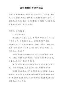 公司羡慕财务分析报告