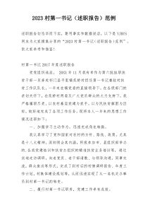 2023村第一书记（述职报告）范例