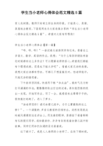 学生当小老师心得体会范文精选5篇