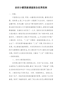 农村小额贷款调查报告优秀范例