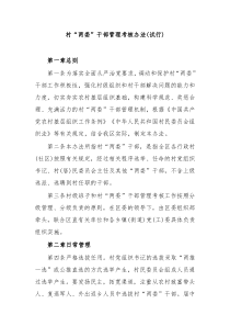 村两委干部管理考核办法试行
