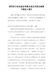 领导班子政治建设考察自查自评报告集聚【精选5篇】