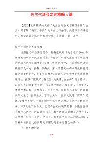 民主生活会发言精编4篇