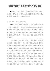 2023年领导干部述法工作报告汇报3篇