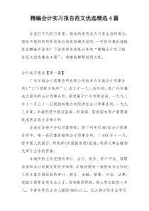 精编会计实习报告范文优选精选4篇