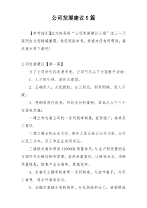 公司发展建议5篇