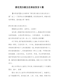 新任党办副主任表态发言5篇