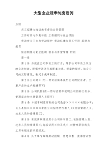 大型企业规章制度范例