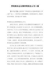 贯彻落实会议精神简报怎么写3篇