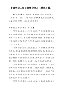 审查调查工作心得体会范文（精选8篇）