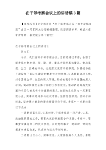 在干部考察会议上的讲话稿3篇
