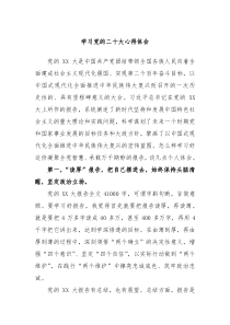 学习党的二十大心得体会