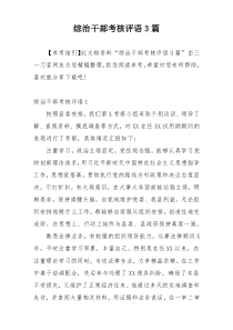 综治干部考核评语3篇