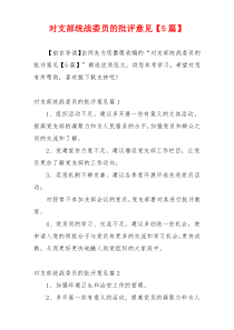 对支部统战委员的批评意见【5篇】