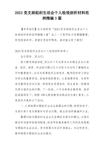 2023党支部组织生活会个人检视剖析材料范例精编3篇