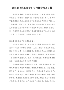 读名著《骆驼祥子》心得体会范文3篇