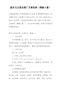 超市元旦营业推广方案范例（精编5篇）
