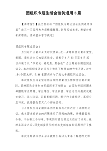 团组织专题生活会范例通用3篇