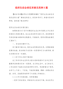 组织生活会前征求意见范例5篇