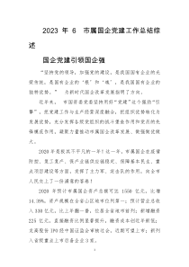 2023年6　市属国企党建工作总结综述