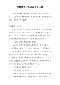 预算管理工作总结范文5篇