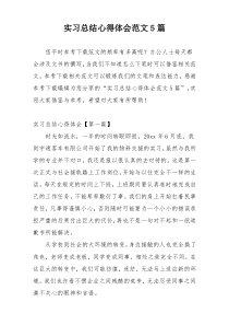 实习总结心得体会范文5篇