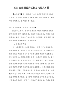 2023自然资源局工作总结范文5篇