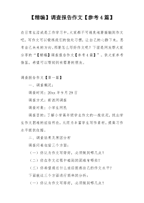【精编】调查报告作文【参考4篇】