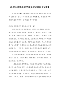 组织生活领导班子意见征求范例【4篇】