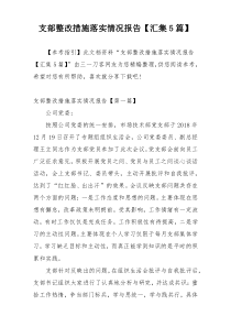 支部整改措施落实情况报告【汇集5篇】