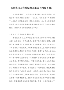 文员实习工作总结范文报告（精选4篇）