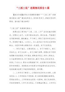 “三抓三促”进展情况报告5篇