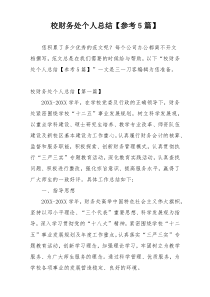 校财务处个人总结【参考5篇】