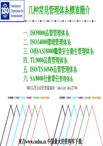 几种常见管理体系标准简介（PPT 48页）(1)