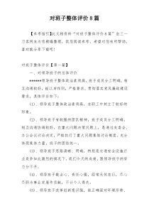 对班子整体评价8篇