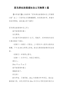 菜鸟驿站放假通知怎么写集聚3篇