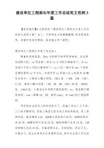 建设单位工程部长年度工作总结范文范例3篇