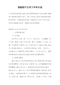 保险财产公司下半年计划