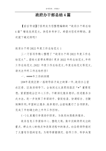 政府办干部总结4篇