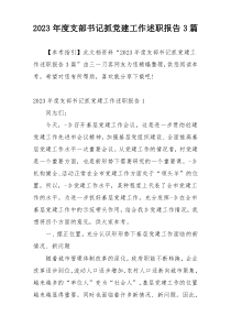 2023年度支部书记抓党建工作述职报告3篇