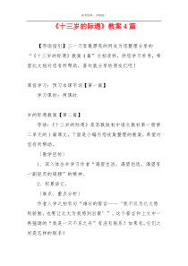 《十三岁的际遇》教案4篇