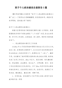 班子个人政治建设自查报告3篇