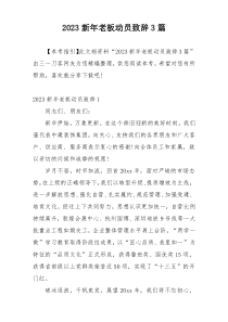 2023新年老板动员致辞3篇