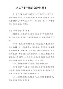 员工下半年计划【范例4篇】