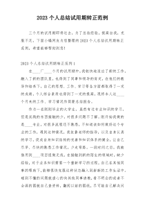 2023个人总结试用期转正范例