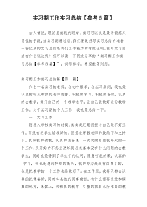 实习期工作实习总结【参考5篇】